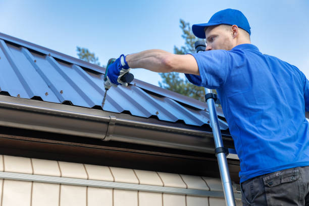 Best Roof Moss and Algae Removal  in Grosse Pointe Park, MI