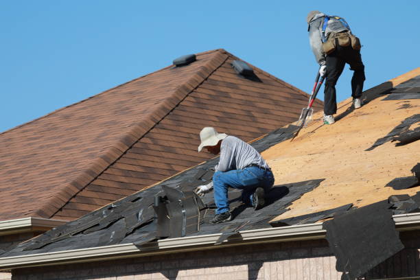 Fast & Reliable Emergency Roof Repairs in Grosse Pointe Park, MI