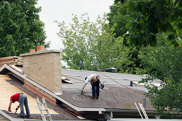 Best Rubber Roofing (EPDM, TPO)  in Grosse Pointe Park, MI