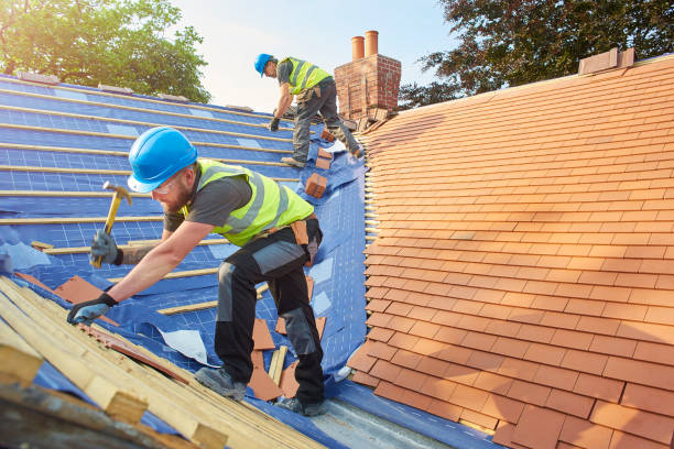 Best Skylight Installation and Repair  in Grosse Pointe Park, MI